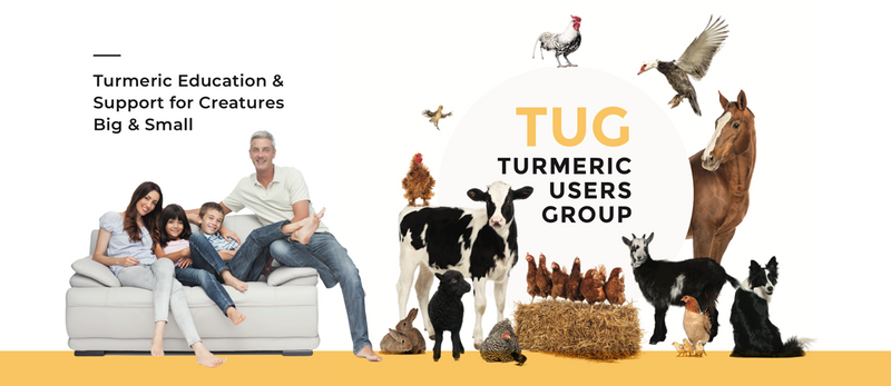 Turmeric Users Group facebook banner with Dr Doug - read turmeric benefits, golden paste recipes, turmeric paste recipes and connect with other users - animals and family turmeric life